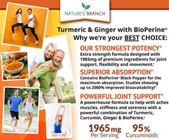 extra strength turmeric curcumin & ginger with bioperine – 1965mg joint & immune support, 90 vegan capsules