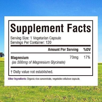 innate vitality magnesium glycinate 500mg,120 veggie capsules