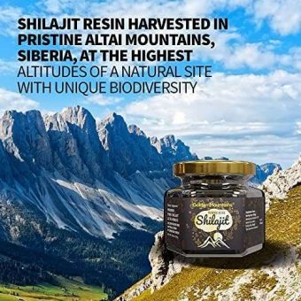 pure authentic siberian altai "golden mountains" shilajit resin 100g 3.53oz measuring spoon – quality & safety certificate in each box