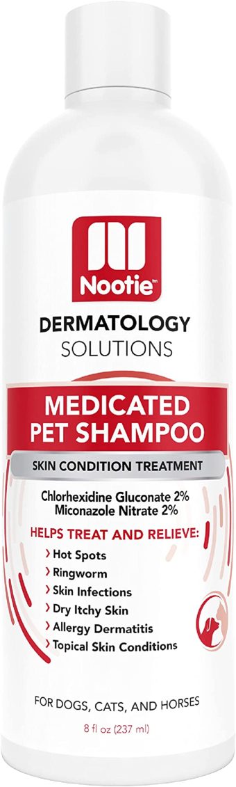 import placeholder for 18365