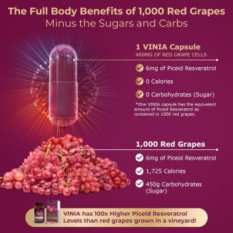 vinia piceid resveratrol supplement – 12 hour sustained release | rapid absorption blood flow support | 400mg per serving – 30 capsules