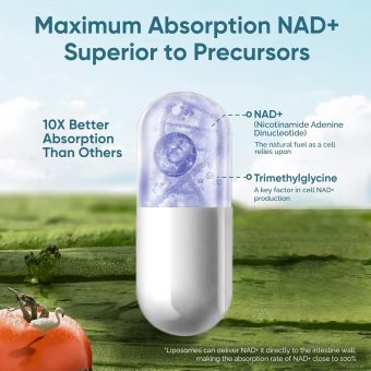 liposomal nad+ 1000mg supplement | max absorption for energy, cellular repair & healthy aging | 120 vegan capsules