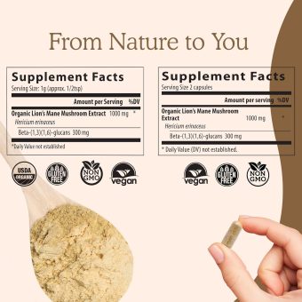 visit the real mushrooms store lion's mane cognition capsules (120 pieces)