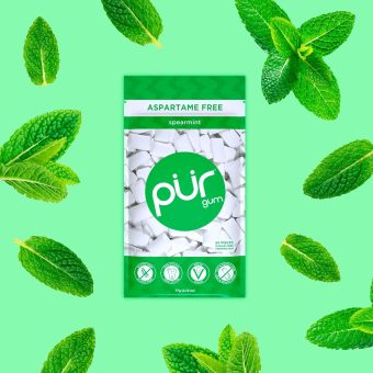 pur gum | sugar free chewing gum | 100% xylitol | vegan, aspartame free, gluten free & diabetic friendly | natural spearmint flavored gum, 55 pieces (pack of 1)