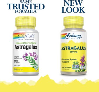 Solaray Astragalus Root 550mg – Immune & Stress Support – 100 VegCaps