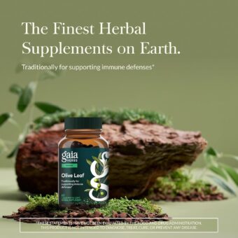 gaia herbs olive leaf traditional immune health support immune system supplement with olive leaf extract and oleuropein 60 vegan liquid phyto caps