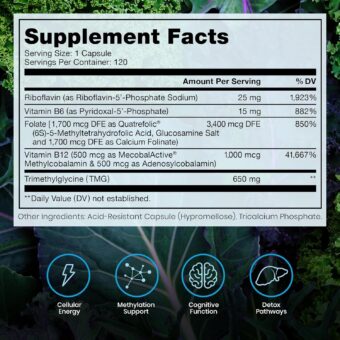 methyl b complete 120 vegetable capsules | optimal methylation support supplement
